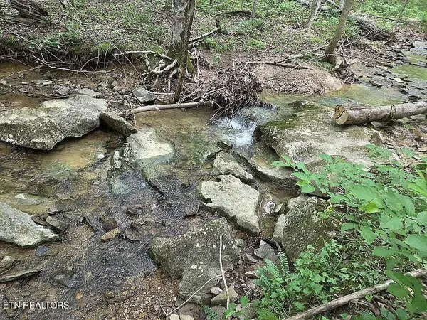 235 Sparta St, Spencer, TN 38585