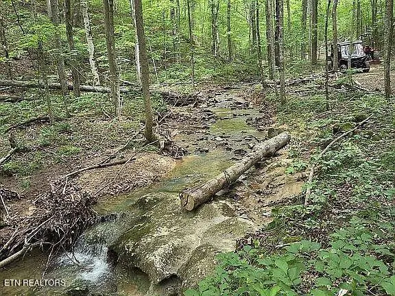 235 Sparta St, Spencer, TN 38585 - Image #3