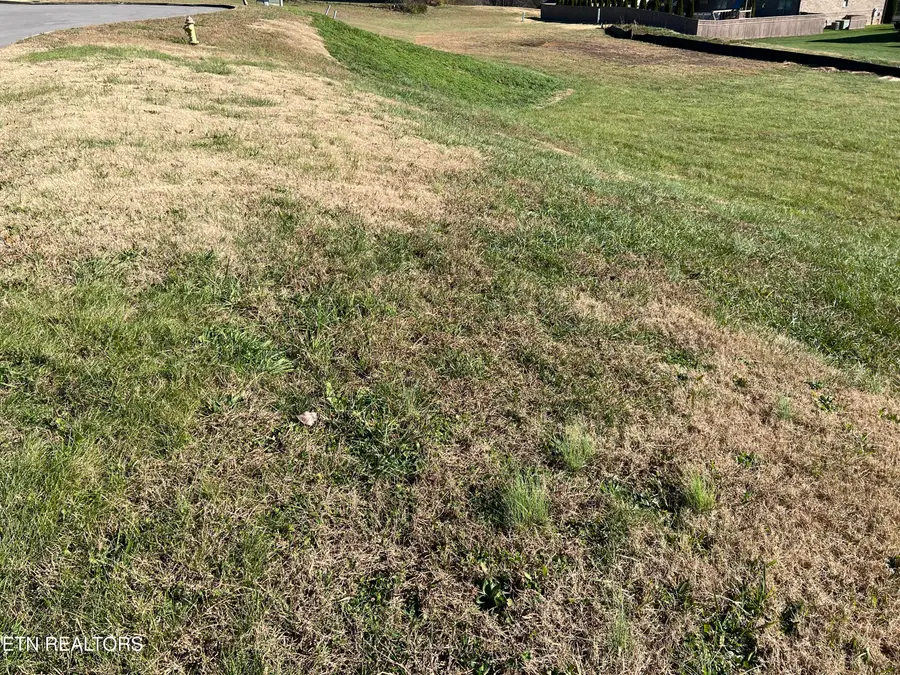 4536 Alan Springs Lane Lane, Knoxville, TN 37938 - Image #2