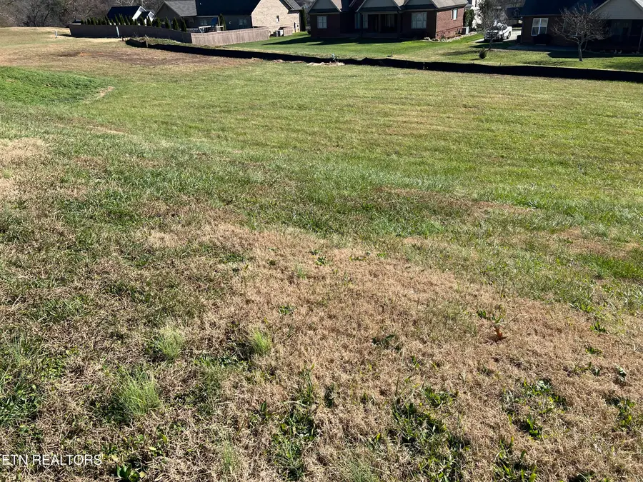 4536 Alan Springs Lane Lane, Knoxville, TN 37938 - Image #3