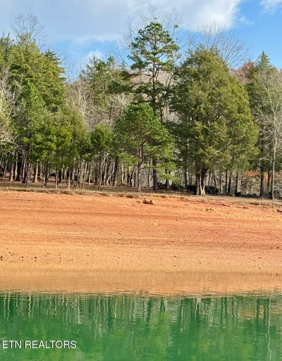 Bridle Way, Speedwell, TN 37870 - Image #3