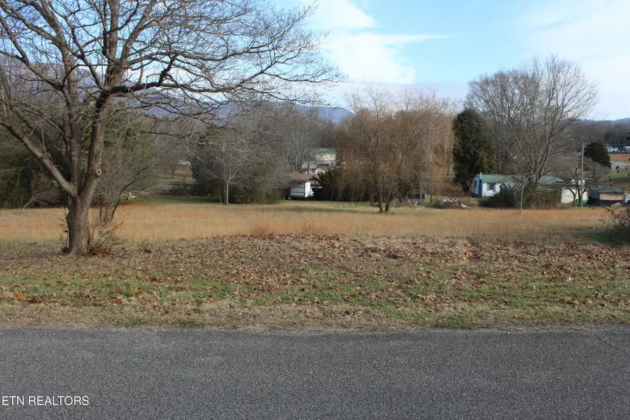 Lot 5 & 6 Powell Valley Shores Circle, Speedwell, TN 37870 - Image #2