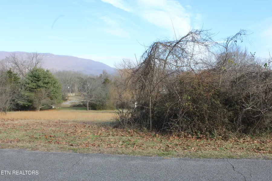 Lot 5 & 6 Powell Valley Shores Circle, Speedwell, TN 37870 - Image #3