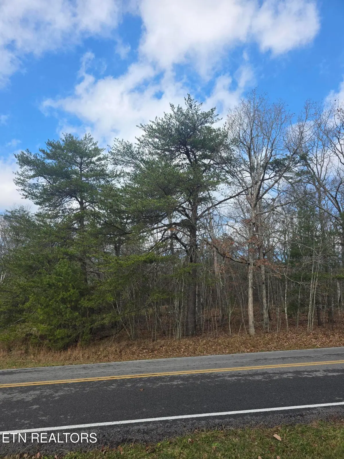 523 Lakeview Drive, Crossville, TN 38558 - Image #1