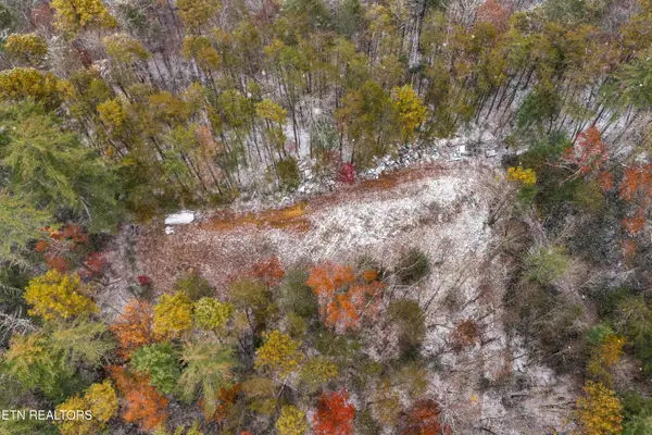 Old 15th Rd, Hartford, TN 37753