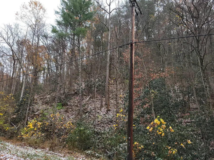 Lot 37/38 Alpine Drive, Sevierville, TN 37876 - Image #2