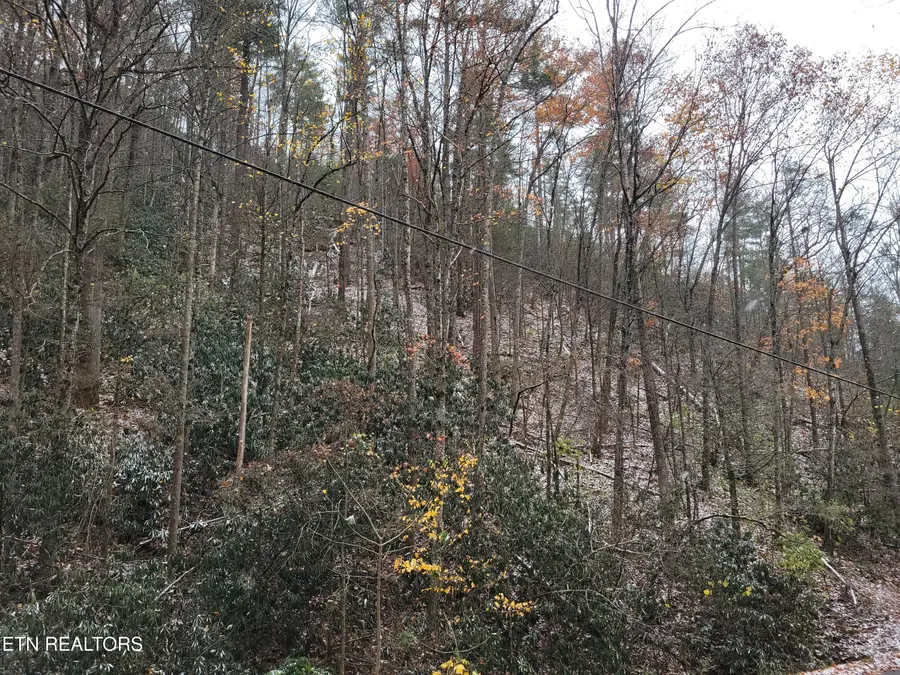 Lot 37/38 Alpine Drive, Sevierville, TN 37876 - Image #3