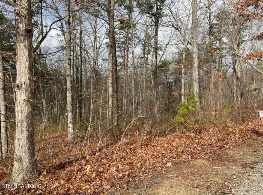 Eagle Bluff, Jamestown, TN 38556 - Image #2