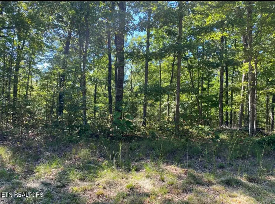 Eagle Bluff, Jamestown, TN 38556 - Image #3