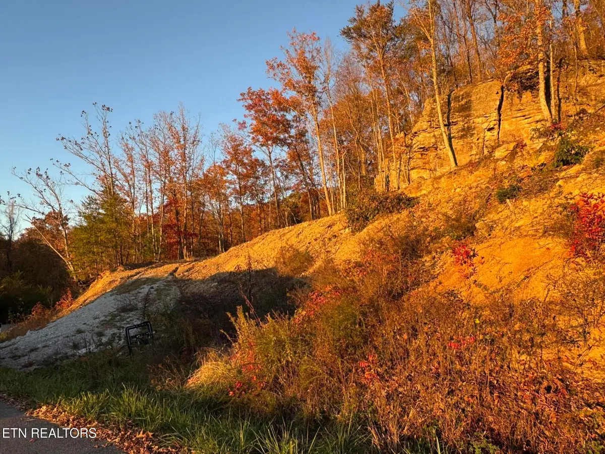 Big Ridge Rd, Oneida, TN 37841 - Image #1