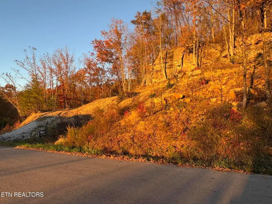 Big Ridge Rd, Oneida, TN 37841 - Image #2