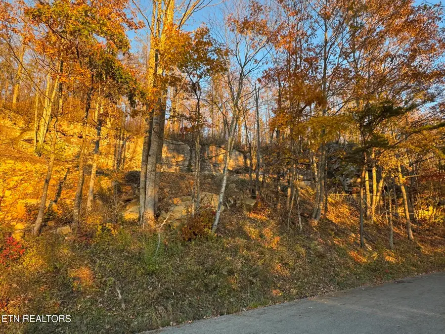 Big Ridge Rd, Oneida, TN 37841 - Image #3