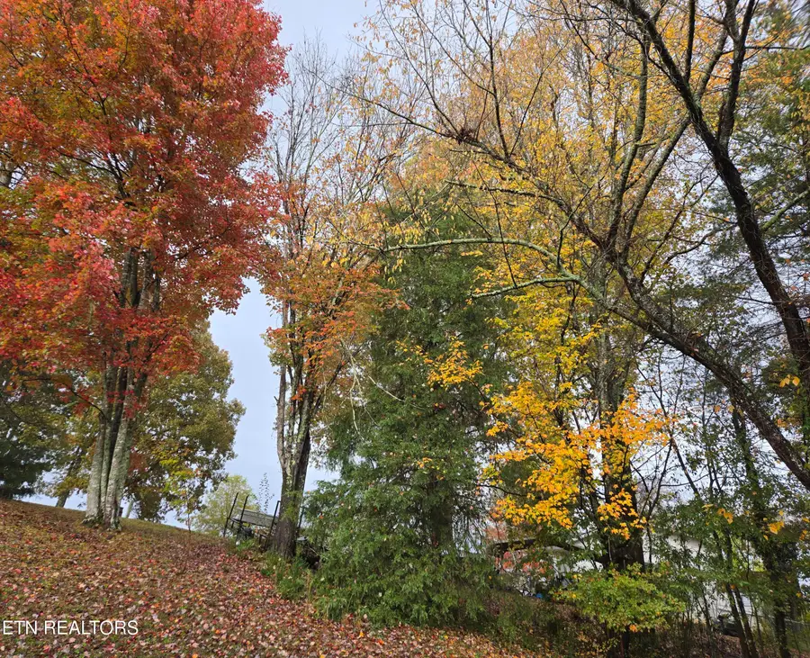 200 Sunset Lane, Harriman, TN 37748 - Image #2