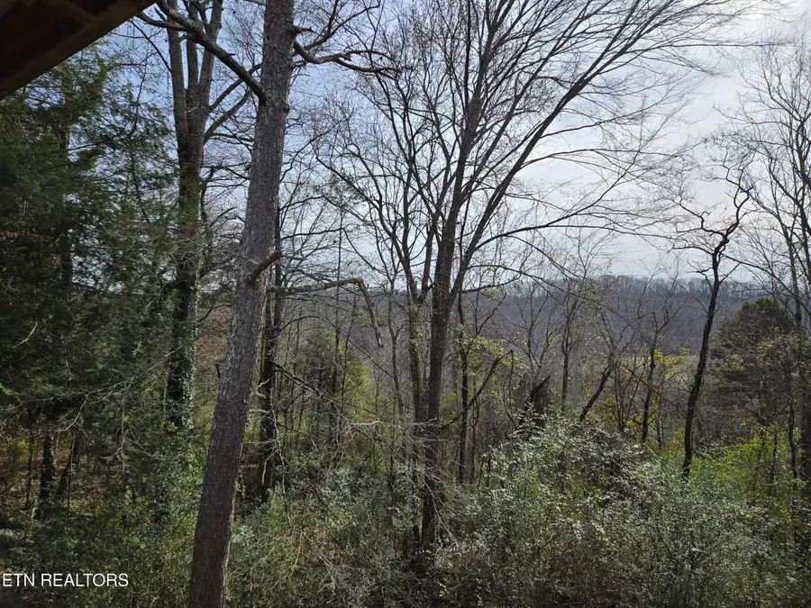 200 Sunset Lane, Harriman, TN 37748 - Image #3