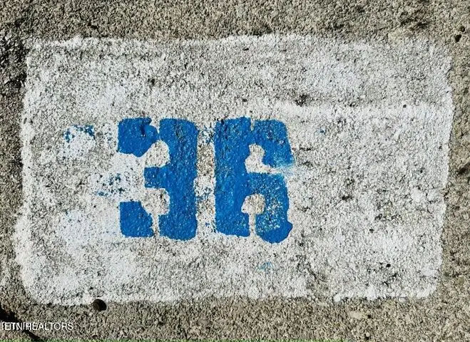 Lot 36 Highway 73, Townsend, TN 37882 - Image #3