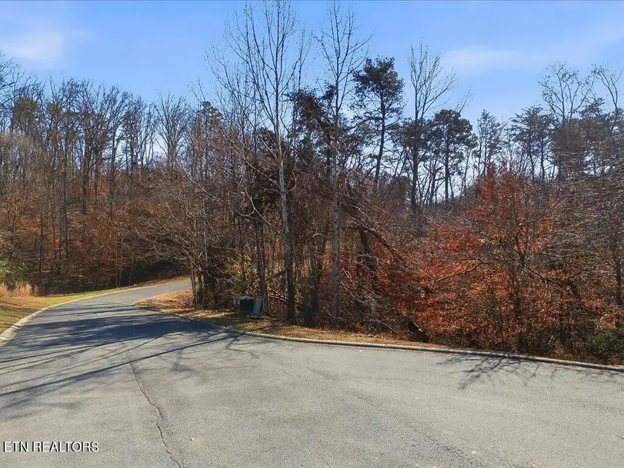 Lot 18 Cove Springs Drive, Dandridge, TN 37725 - Image #2