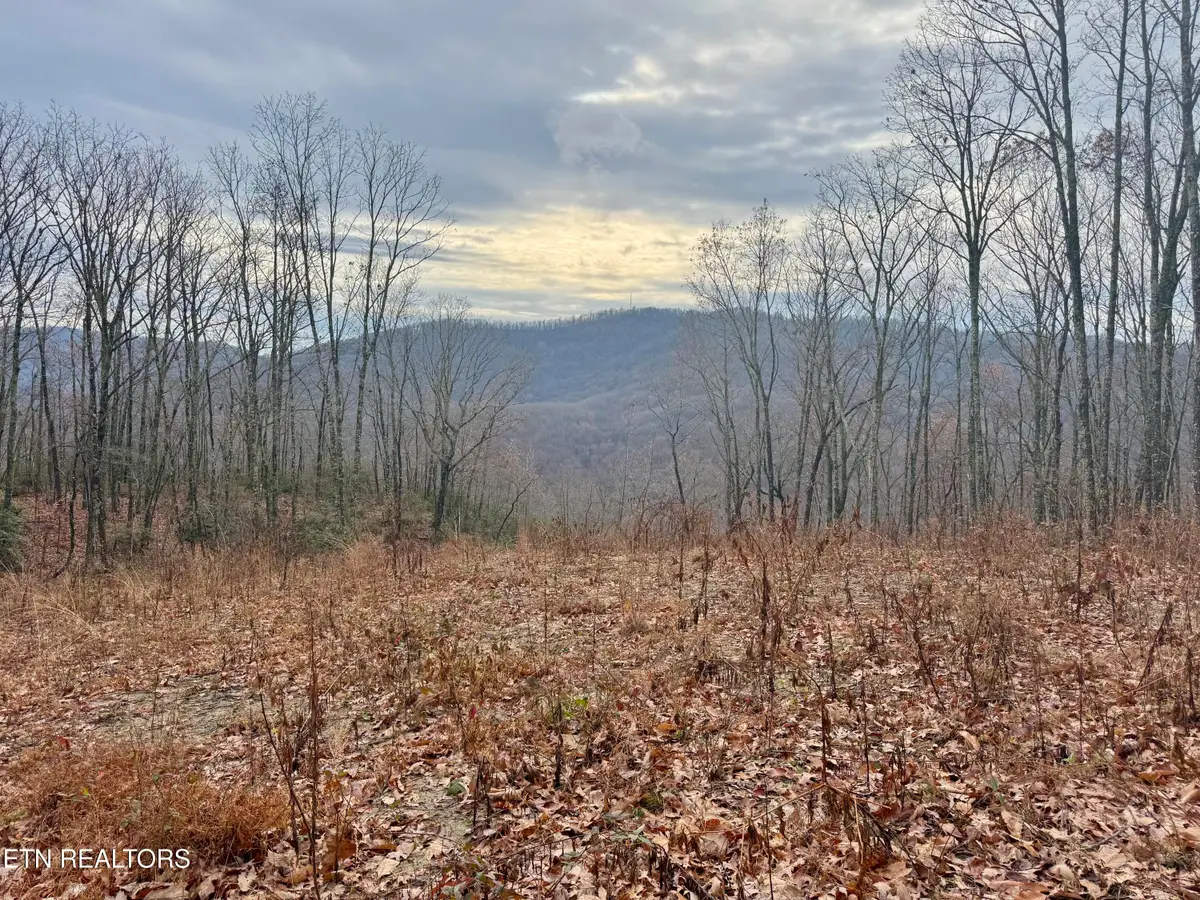 183 Persimmon Lane, Pioneer, TN 37847 - Image #1