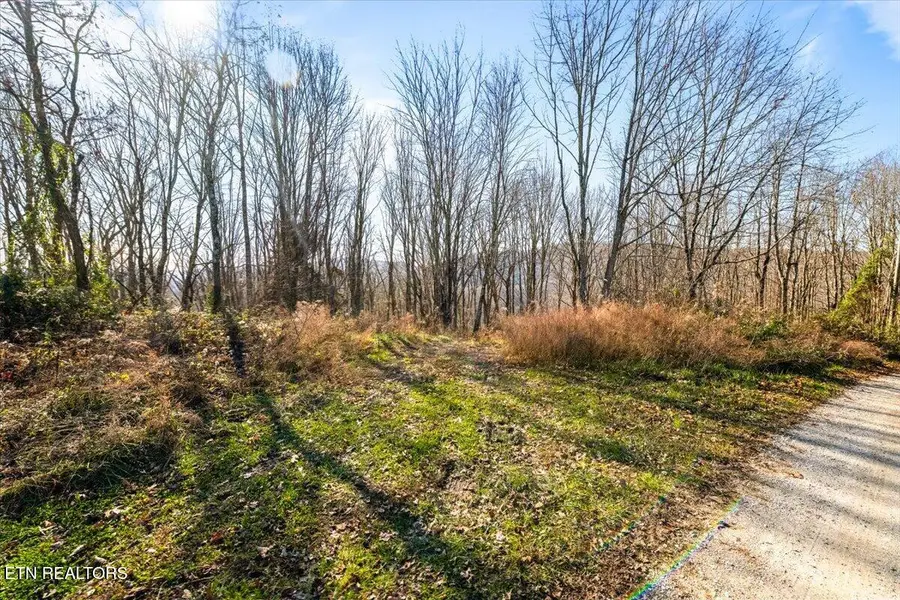 183 Persimmon Lane, Pioneer, TN 37847 - Image #2