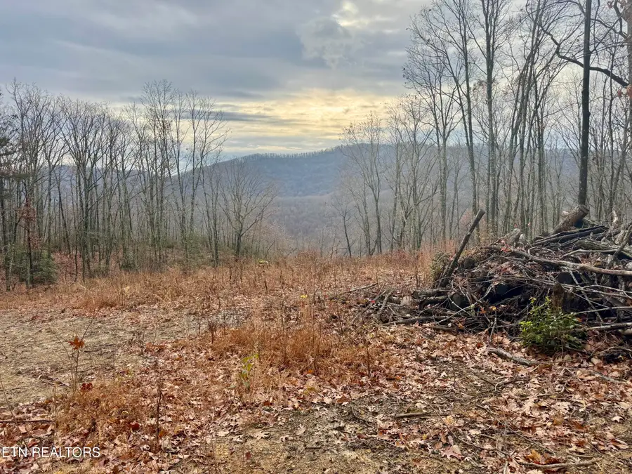 183 Persimmon Lane, Pioneer, TN 37847 - Image #3