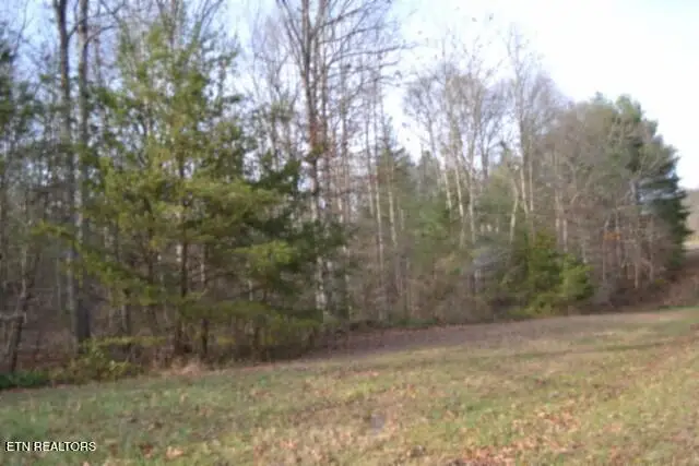 Lot 4 Shotgun Annie Rd, Jamestown, TN 38556 - Image #1