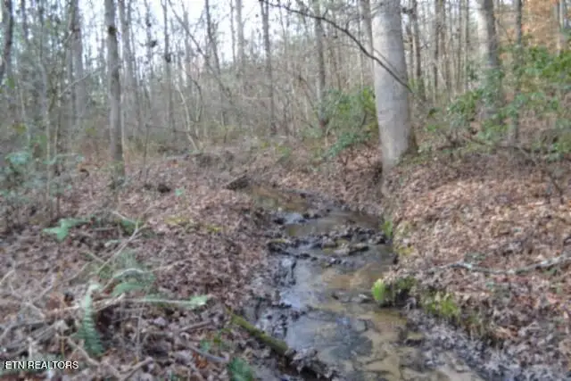 Lot 4 Shotgun Annie Rd, Jamestown, TN 38556 - Image #2