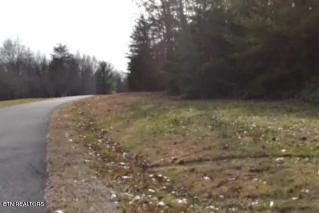 Lot 4 Shotgun Annie Rd, Jamestown, TN 38556 - Image #3