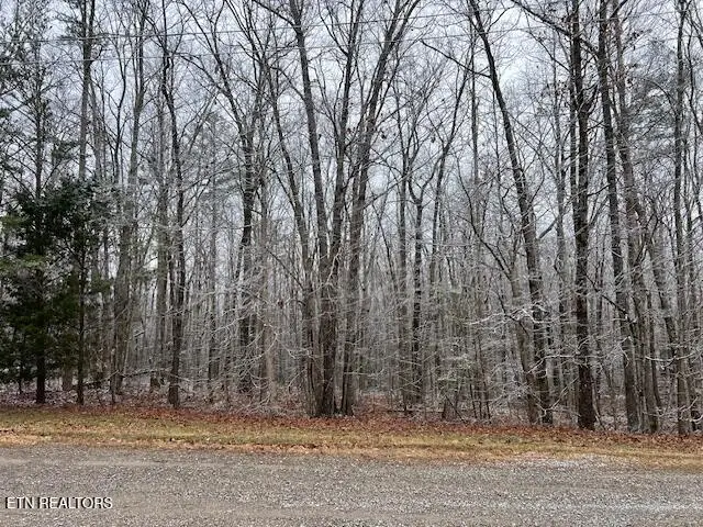 8+9 Slack Place, Monterey, TN 38574 - Image #2