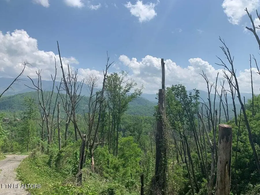 Kristis Place Place, Gatlinburg, TN 37738 - Image #2