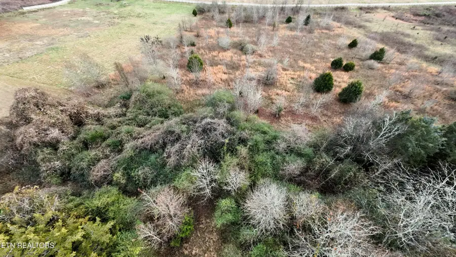 107 Roaming Fawn Drive, Rockwood, TN 37854 - Image #3