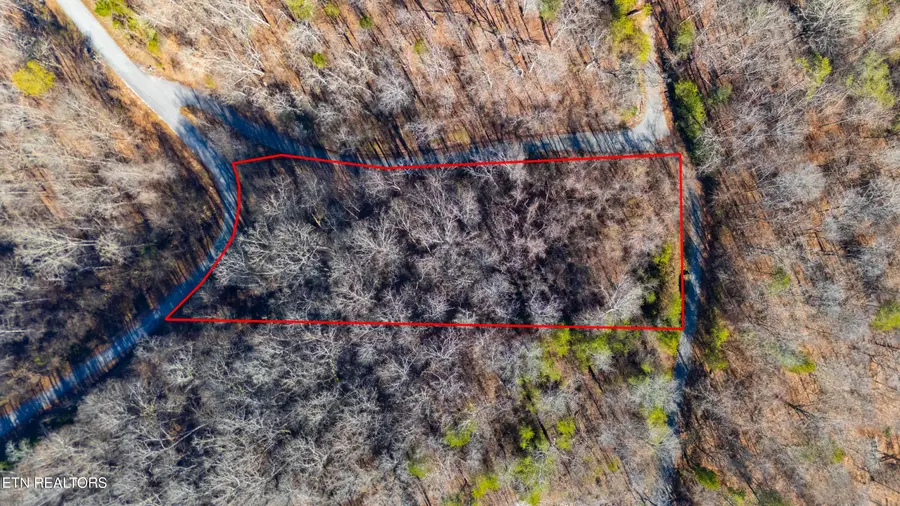 919 Sparrow Way, Sharps Chapel, TN 37866 - Image #3