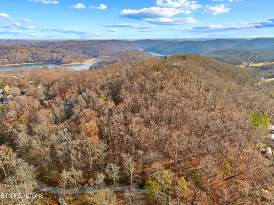 Mountain Lake Drive, Rocky Top, TN 37769 - Image #2