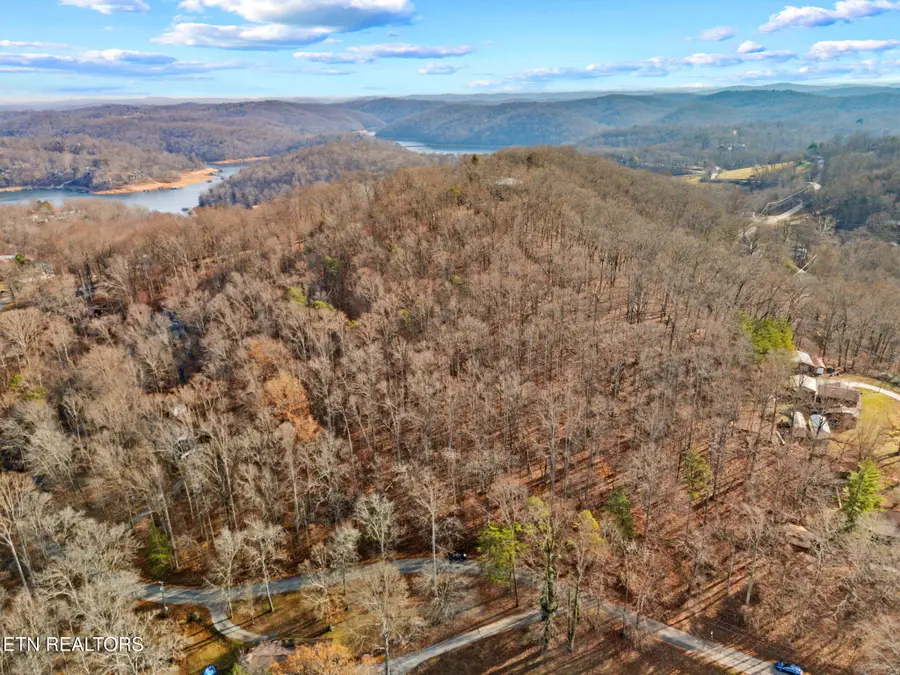 Mountain Lake Drive, Rocky Top, TN 37769 - Image #3