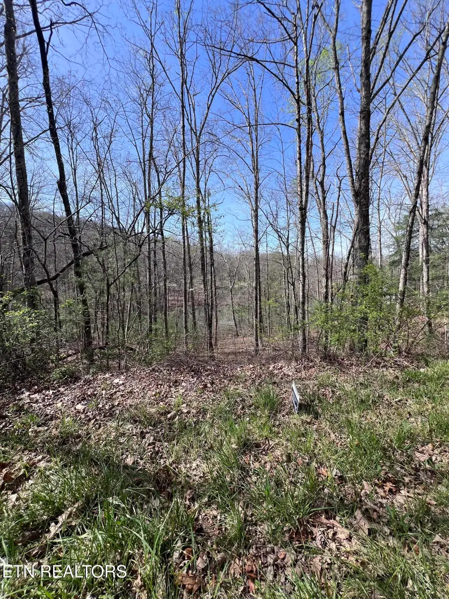 0.19 ac Hickory Hollow Rd, Crossville, TN 38572 - #3