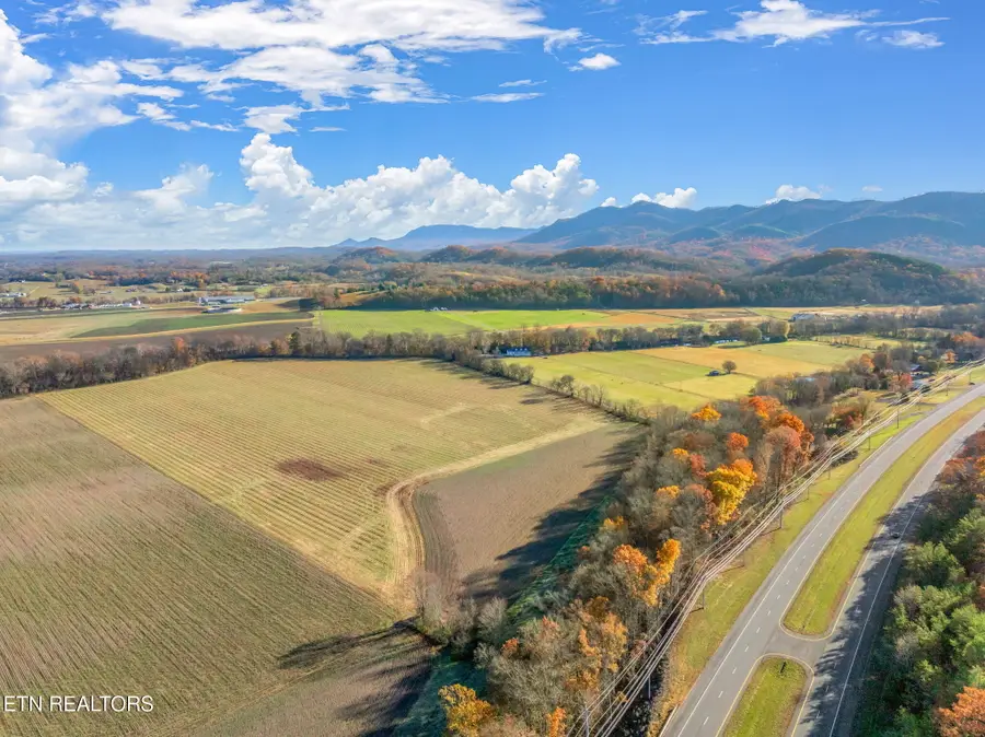 4019 E Lamar Alexander Pkwy, Walland, TN 37886 - Image #3