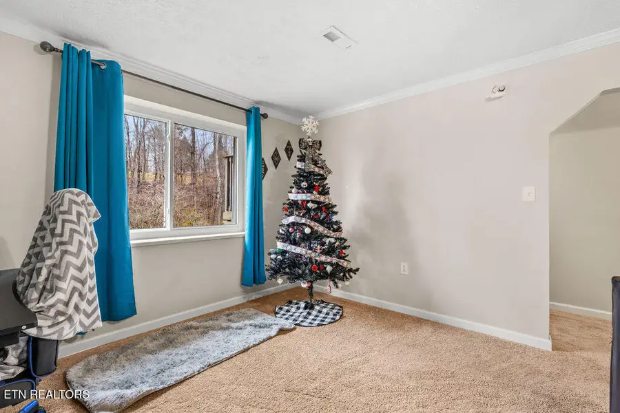 250 Mcdeerman Road, Jacksboro, TN 37757 - #3