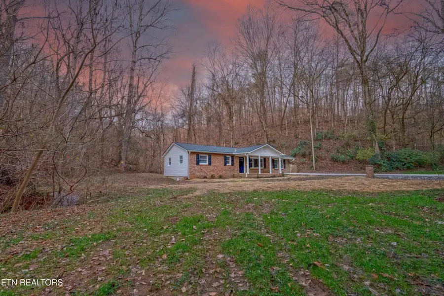 9003 Tedford Lane, Knoxville, TN 37922 - Image #3