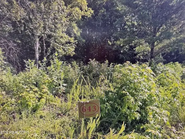 204 Majestic View Drive, Rockwood, TN 37854