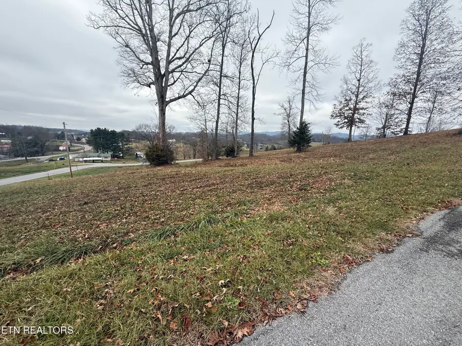 Lot #21 Oak Point Drive, Jonesville, VA 24263 - Image #3