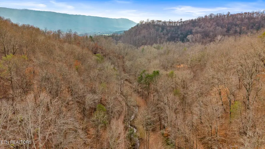 158 County Road 484, Englewood, TN 37329 - Image #2