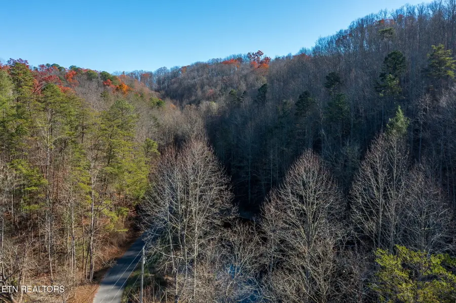 Lot 24 Lakeshore Ave, Sevierville, TN 37876 - Image #3