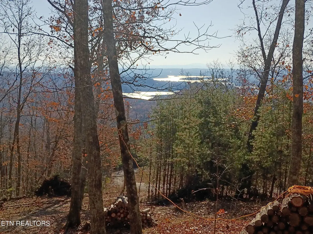 Part Of Lot 10 Wallen Lane, Bean Station, TN 37708 - Image #1