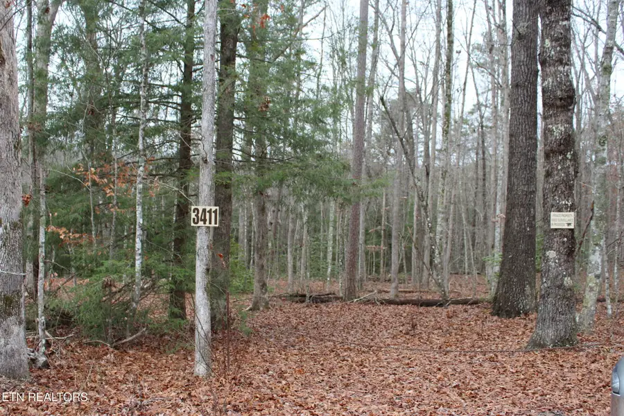 3411 Pickett Park Hwy, Jamestown, TN 38556 - Image #3