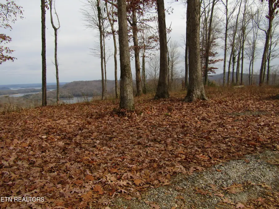 Lot 27C E Rockfish Rd, Hilham, TN 38568 - #2