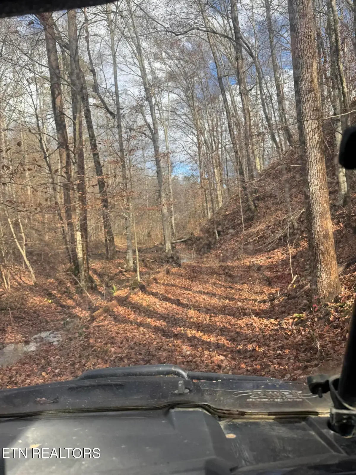 Mt Olive Rd Rd, Andersonville, TN 37705 - Image #1