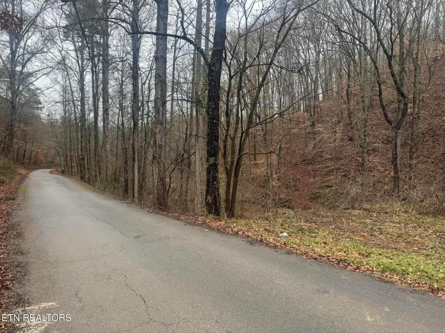 Mt Olive Rd Rd, Andersonville, TN 37705 - Image #2