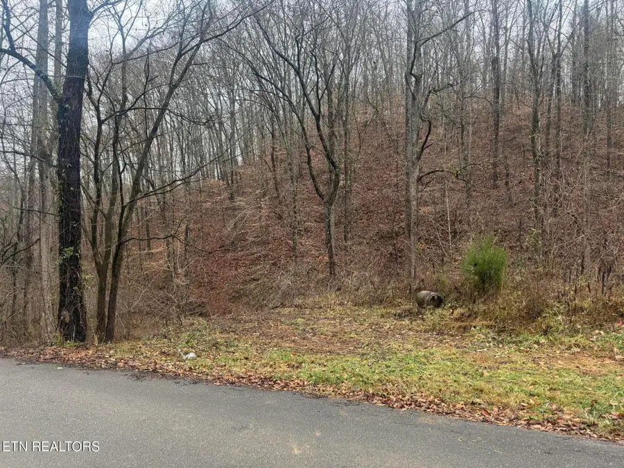 Mt Olive Rd Rd, Andersonville, TN 37705 - Image #3