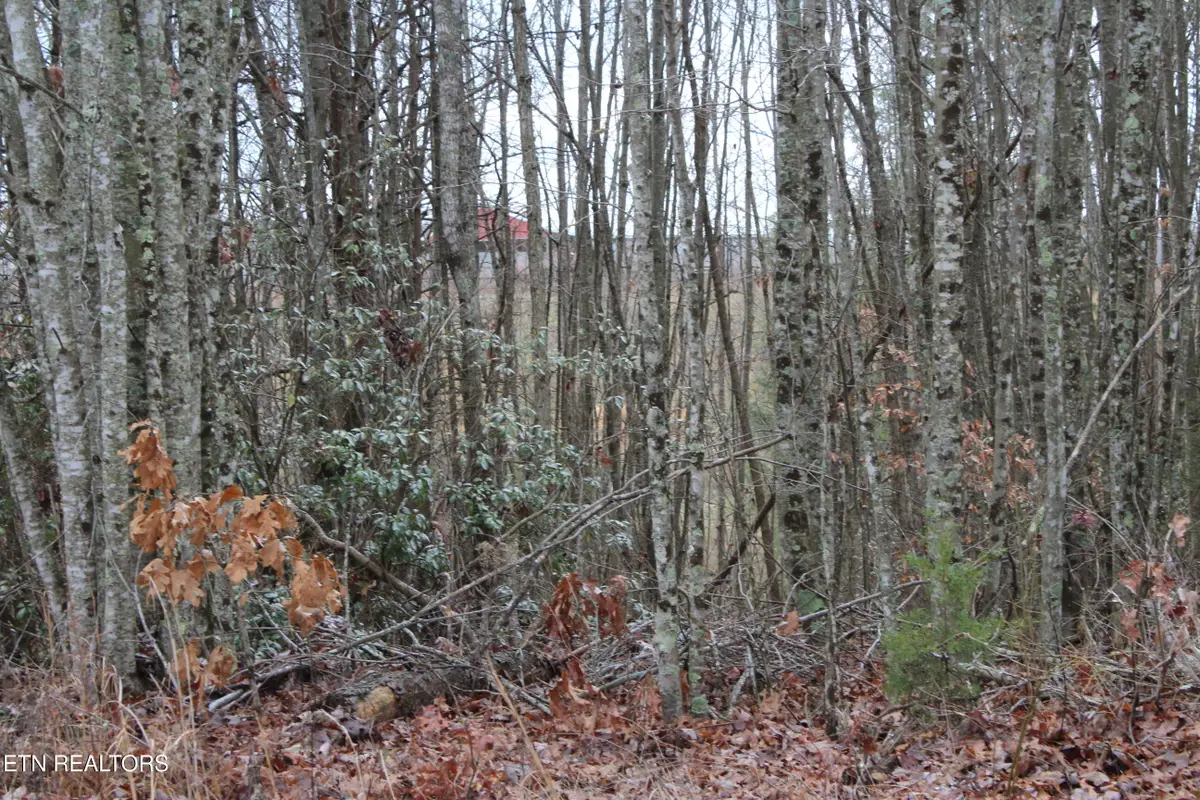 E Loomis Loop Rd, Jamestown, TN 38556 - Image #1