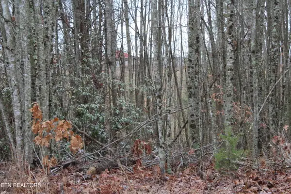 E Loomis Loop Rd, Jamestown, TN 38556