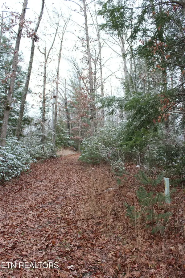 Laurel Rd, Jamestown, TN 38556