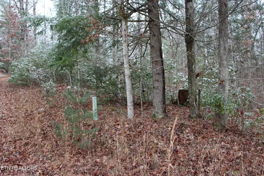 Laurel Rd, Jamestown, TN 38556 - Image #2